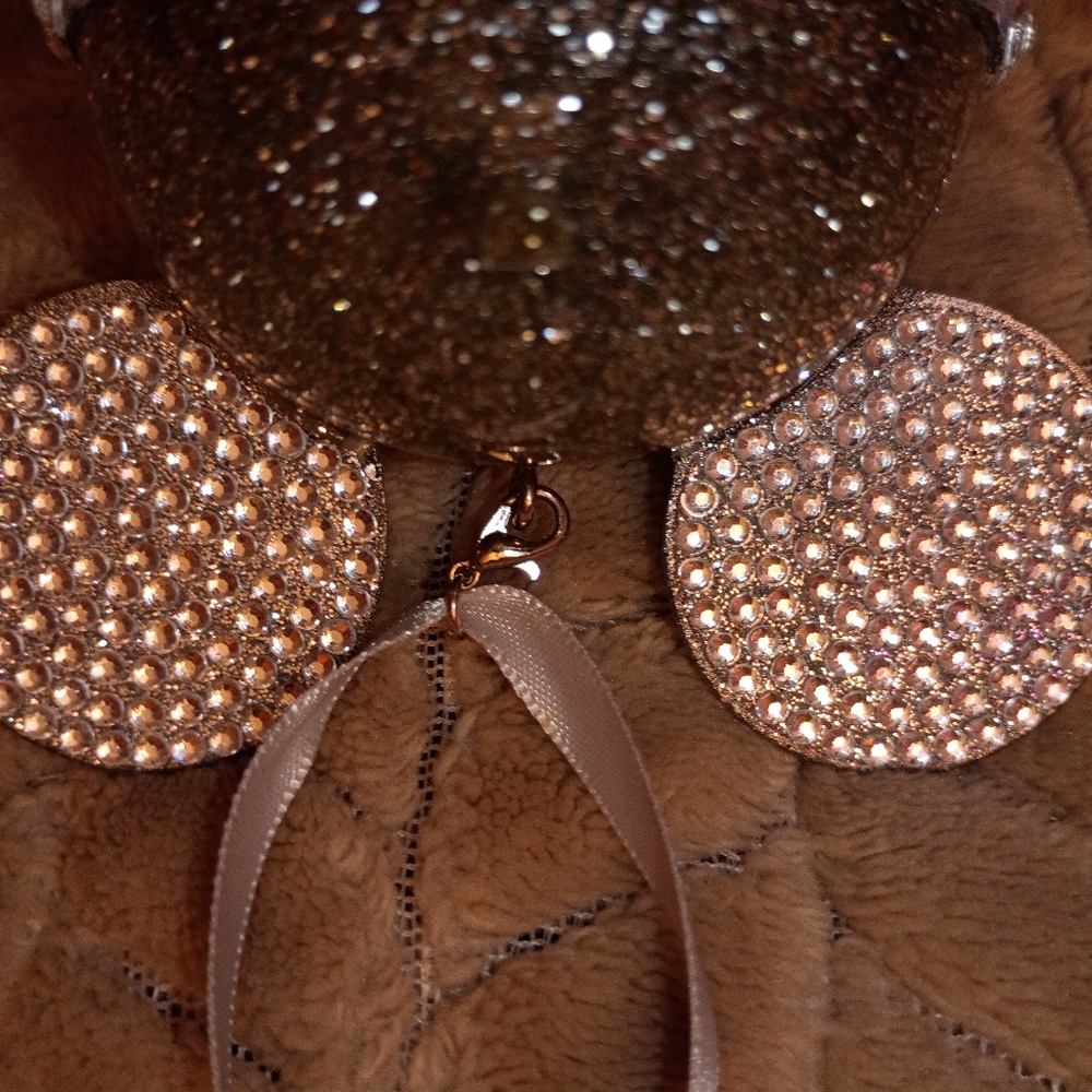 Disneyland 60th Anniversary Silver Ornament - Picture 7 of 8